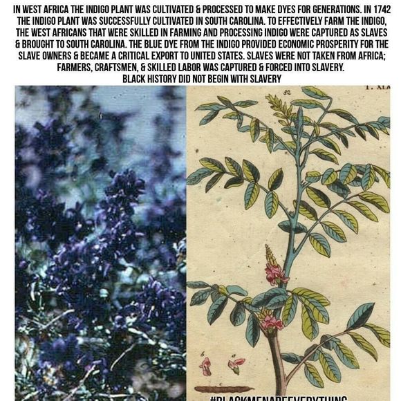 Meet your Posher, Marquetia - Picture 1 of 1